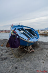 ciropipoli-lezirre-flowers-18