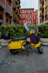 ciropipoli-lezirre-flowers-4